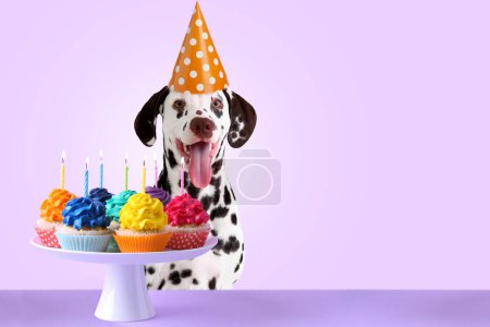 Foto de Lindo perro dálmata en sombrero de fiesta y con pasteles de cumpleaños sobre fondo lila con espacio para texto - Imagen libre de derechos