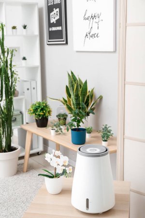 Modern humidifier on table and houseplants in interior of living room