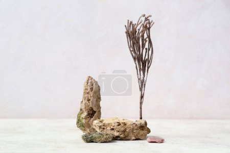 Foto de Pódiums decorativos de piedra con flor seca sobre mesa blanca - Imagen libre de derechos