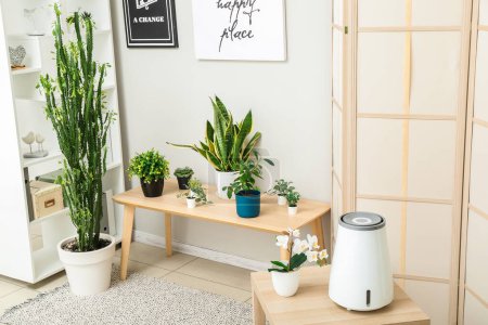 Photo for Modern humidifier on table and houseplants in interior of living room - Royalty Free Image