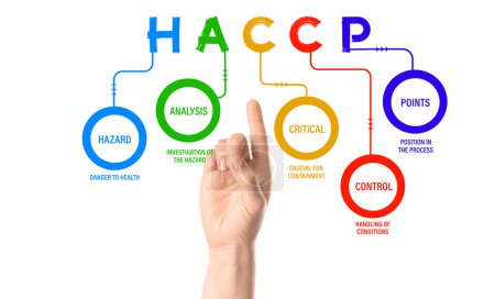 Weibliche Hand zeigt auf Diagramm mit Komponenten von HACCP (Hazard, Analysis and Critical Control Points) auf weißem Hintergrund