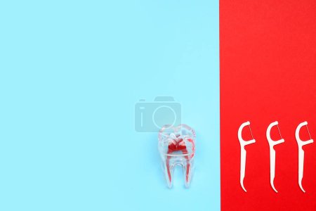 Photo for Floss toothpicks and model of tooth on colorful background - Royalty Free Image