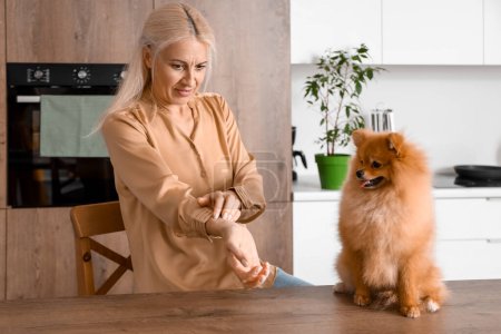 Photo for Allergic mature woman with Pomeranian dog scratching in kitchen - Royalty Free Image