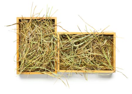 Photo for Straw in crates on white background - Royalty Free Image