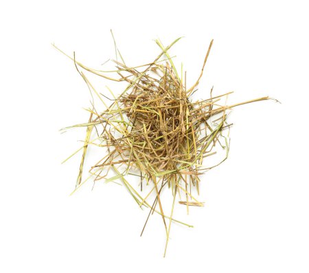 Photo for Small heap of straw on white background - Royalty Free Image