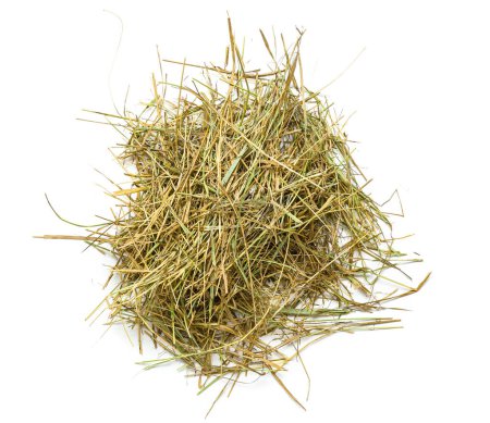 Photo for Heap of straw on white background - Royalty Free Image