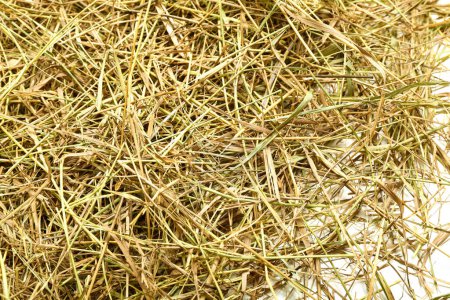 Photo for Heap of straw as background - Royalty Free Image