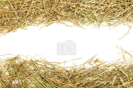 Photo for Straw scattered on white background - Royalty Free Image