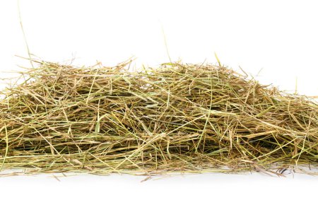 Photo for Heap of straw on white background - Royalty Free Image