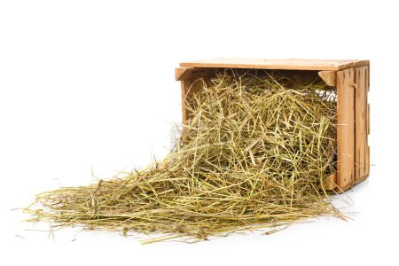 Photo for Overturned crate with straw on white background - Royalty Free Image
