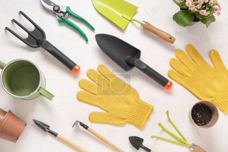 Different gardening tools on light background