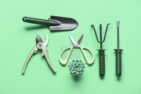 Photo for Set of gardening tools on green background - Royalty Free Image