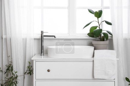 Sink bowl, faucet and houseplant on chest of drawers near window