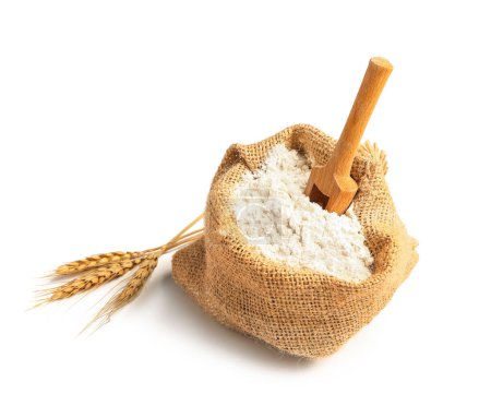 Foto de Bolsa de sacos con harina y espigas de trigo sobre fondo blanco - Imagen libre de derechos