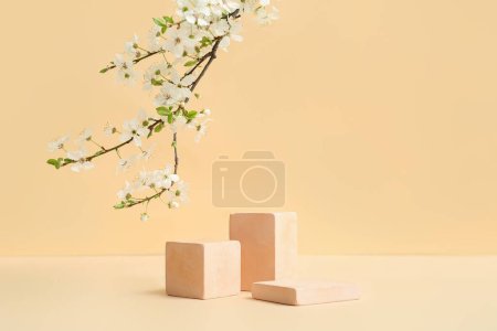 Photo for Decorative podiums and blooming branch on beige background - Royalty Free Image