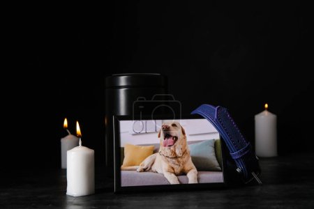 Photo for Frame with picture of dog, collar, mortuary urn and burning candles on dark background. Pet funeral - Royalty Free Image