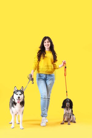 Foto de Mujer joven con perros lindos caminando sobre fondo amarillo - Imagen libre de derechos