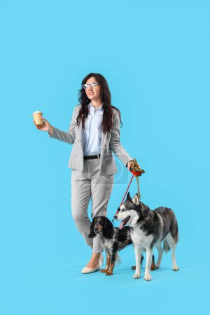 Foto de Joven empresaria con café y perros lindos paseando sobre fondo azul - Imagen libre de derechos