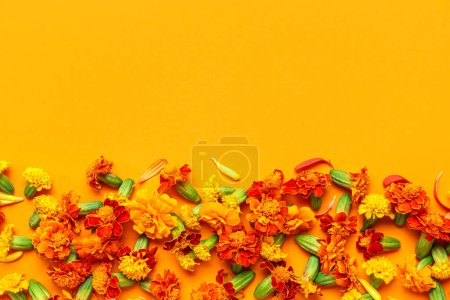 Photo for Marigold flowers on orange background. Divaly celebration - Royalty Free Image