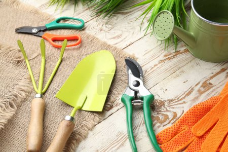 Gardening tools on white wooden background, closeup