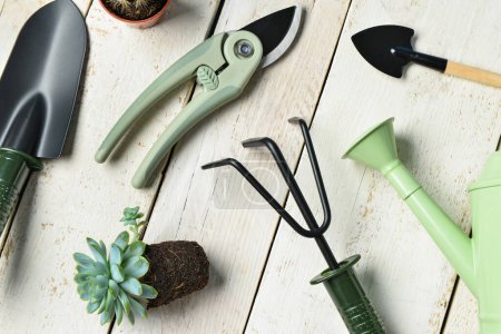Photo for Set of gardening tools on white wooden background - Royalty Free Image