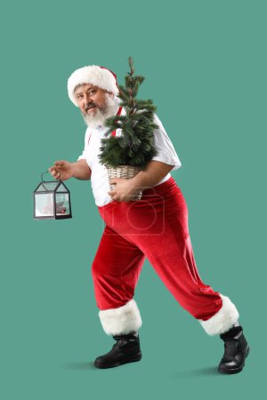 Photo for Santa Claus carrying Christmas tree and gift on green background - Royalty Free Image