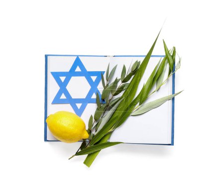 Foto de Cuatro especies (lulav, hadas, arava, etrog) como símbolos del festival Sukkot, libro abierto y papel estrella David sobre fondo blanco - Imagen libre de derechos