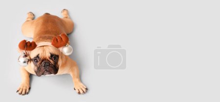 Foto de Lindo perro con cuernos de reno y bolas de Navidad sobre fondo claro con espacio para texto - Imagen libre de derechos