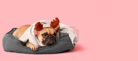 Foto de Lindo perro con cuernos de reno y bufanda acostado en la cama de mascotas sobre fondo rosa con espacio para el texto. Banner de Navidad - Imagen libre de derechos