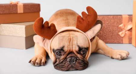 Foto de Lindo perro con cuernos de reno y regalos de Navidad sobre fondo claro - Imagen libre de derechos
