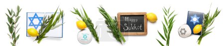 Foto de Set of Sukkot festival symbols on white background - Imagen libre de derechos
