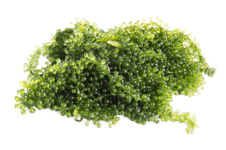 Foto de Montón de algas sanas sobre fondo blanco - Imagen libre de derechos