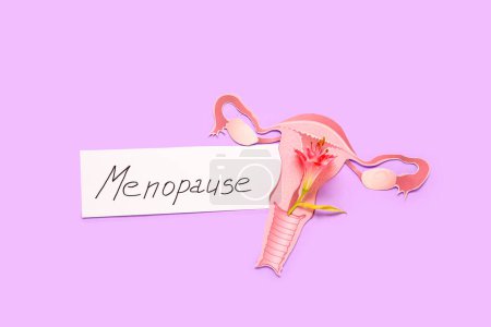 Foto de Palabra MENOPAUSE con útero de papel y flor sobre fondo rosa - Imagen libre de derechos