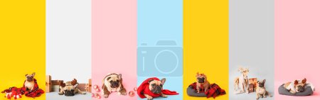 Foto de Set de Navidad de muchos perros lindos sobre fondo de color - Imagen libre de derechos