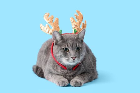 Photo for Cute cat with reindeer horns on blue background - Royalty Free Image