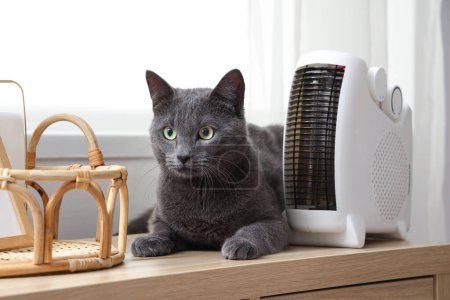 Lindo gato con calentador eléctrico en el estante en casa