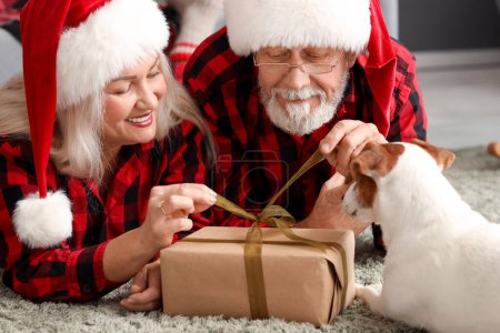 Foto de Feliz pareja madura con Jack Russell terrier y regalo de Navidad en casa, primer plano - Imagen libre de derechos