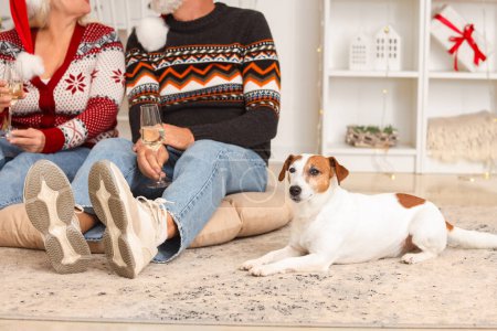 Foto de Jack Russell terrier con pareja madura en casa en la víspera de Navidad - Imagen libre de derechos