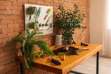 Téléchargez les photos : Pegboard avec outils de jardinage et plantes en atelier - en image libre de droit