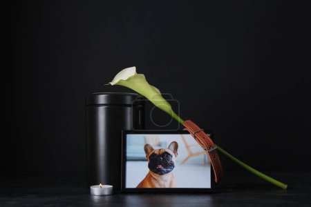 Photo for Frame with picture of dog, mortuary urn, collar and calla lily on dark background. Pet funeral - Royalty Free Image