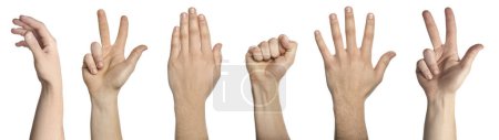 Photo for Collage of gesturing male hands on white background - Royalty Free Image