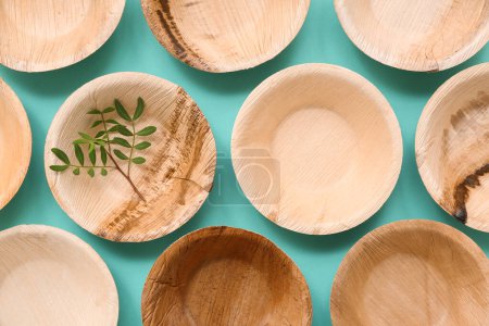 Disposable eco plates with plant branch on turquoise background