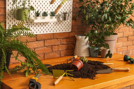 Téléchargez les photos : Plantes avec outils de jardinage sur table en atelier, gros plan - en image libre de droit