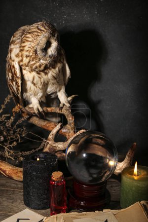 Téléchargez les photos : Caractéristiques magiques de la sorcière avec hibou, boule de cristal de diseur de bonne aventure et bougies sur la table noire - en image libre de droit