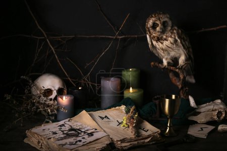 Téléchargez les photos : Caractéristiques magiques de la sorcière avec livre, hibou et bougies allumées sur table noire - en image libre de droit