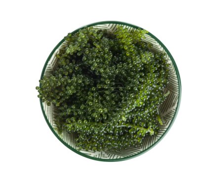 Foto de Cuenco de algas sanas sobre fondo blanco - Imagen libre de derechos