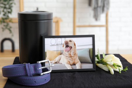 Photo for Frame with picture of dog, collar, mortuary urn and flowers on table, closeup. Pet funeral - Royalty Free Image