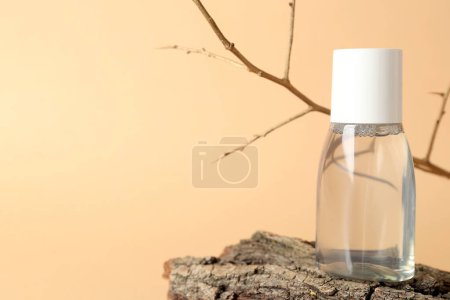 Foto de Botella de agua micelar con rama de árbol y corteza sobre fondo beige, primer plano - Imagen libre de derechos