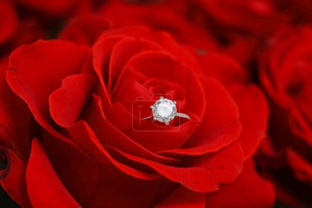 Foto de Hermoso anillo de compromiso en rosa roja elegante, primer plano. Celebraciones del Día de San Valentín - Imagen libre de derechos