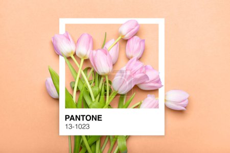 Foto de Hermosas flores de tulipán rosa sobre fondo desnudo. Melocotón Fuzz - color del nuevo año 2024 - Imagen libre de derechos